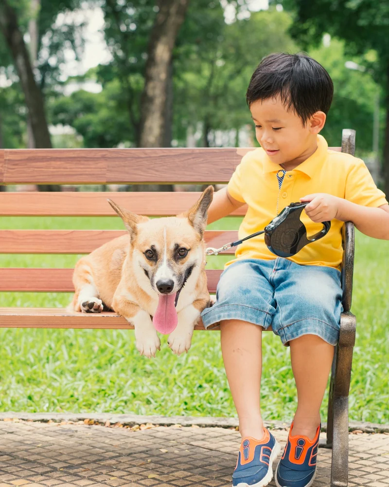 Photograph example for ages 6–9+, boy. A dog appears in the photograph.